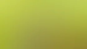 Том и Джерри и друзья