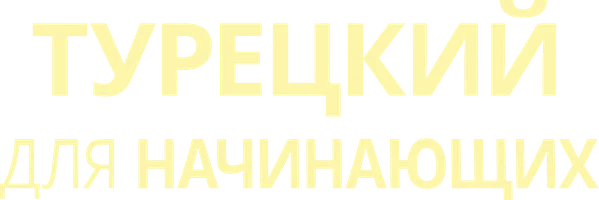 Турецкий для начинающих (фильм 2012)