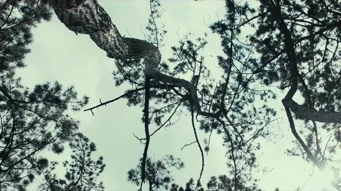 Трейлер (французский язык)