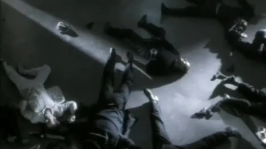 Крутые стволы