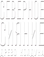 Фильм Северное сияние: Древо колдуна смотреть онлайн