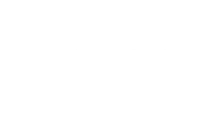 Двойное бельгийское