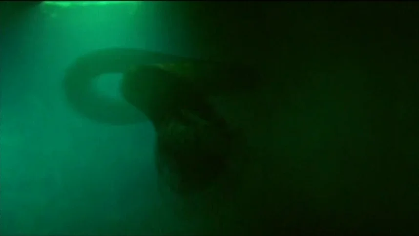 Анаконда 2: Охота за проклятой орхидеей