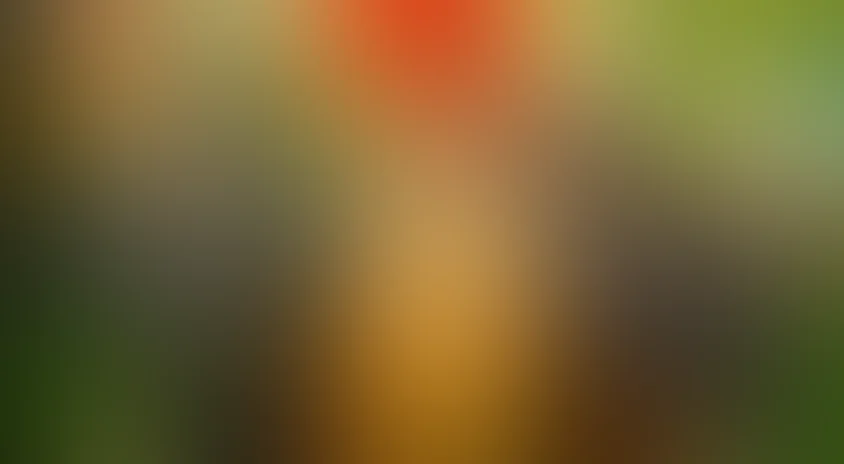 Бременские музыканты