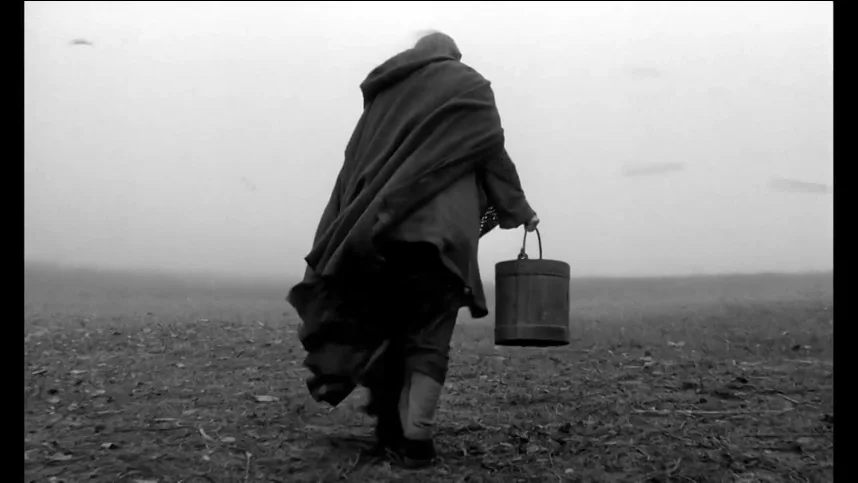 Туринская лошадь