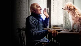 Trüfel ovchilari (italyan tilida ruscha subtitrlar bilan)