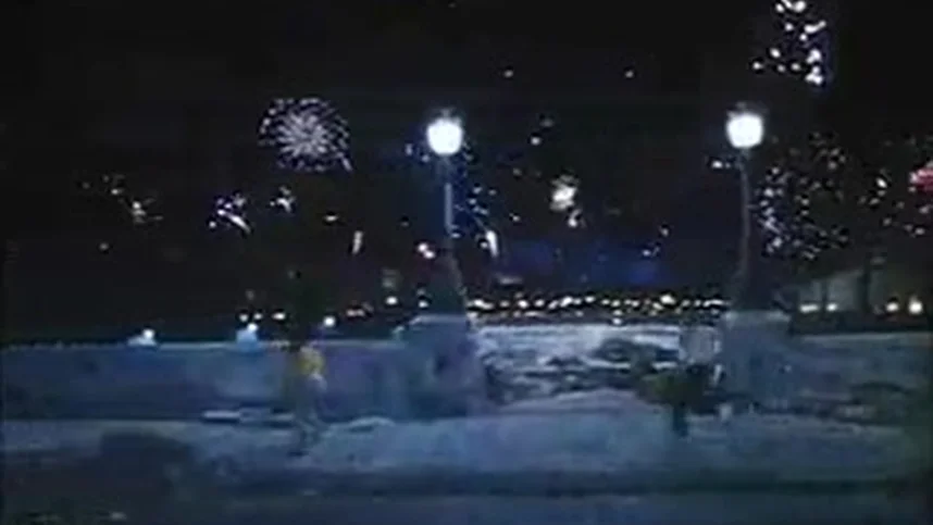 Любовники с Нового моста