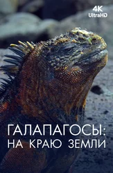 [4k] Галапагосы: На краю земли