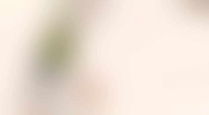 Реанимация (2007)