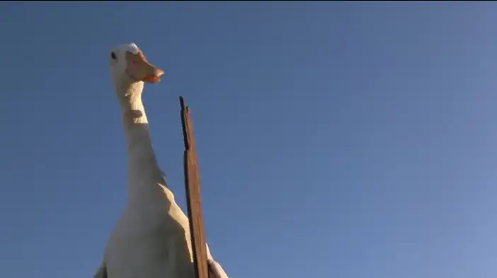 Фрагмент 3 (английский язык)