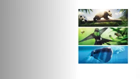 Земля: Один потрясающий день