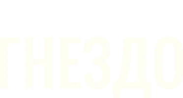 Гнездо