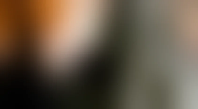 Призрак любви