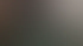 Пуля-дура. Изумрудное дело агента