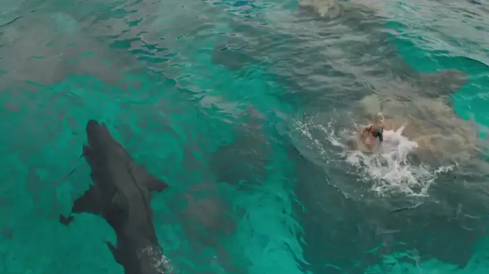 Трейлер 2 (дублированный)