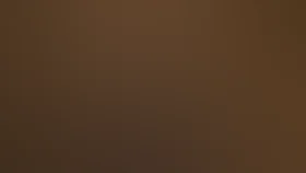 Квартира 212