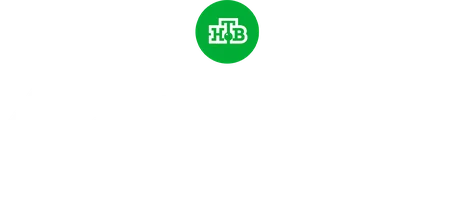 Дачный ответ