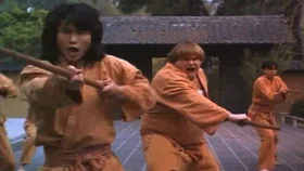 Ниндзя из Беверли Хиллз