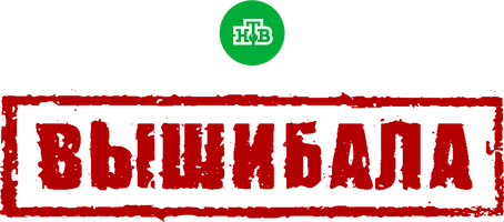 Вышибала (2016) (сериал 2016)