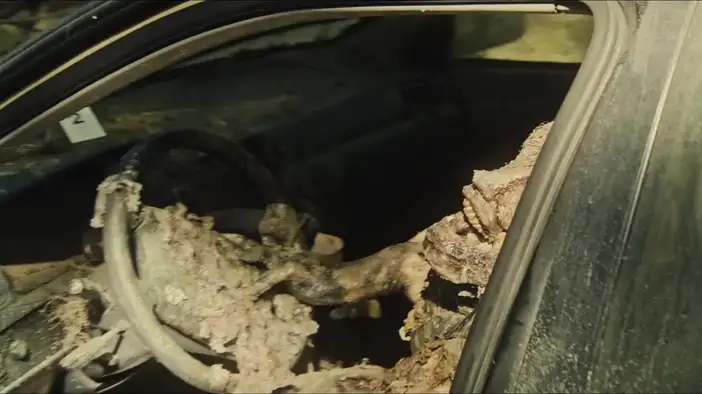 Трейлер 2 (английский язык)