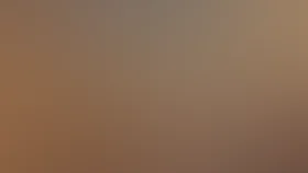 Мушкетеры двадцать лет спустя