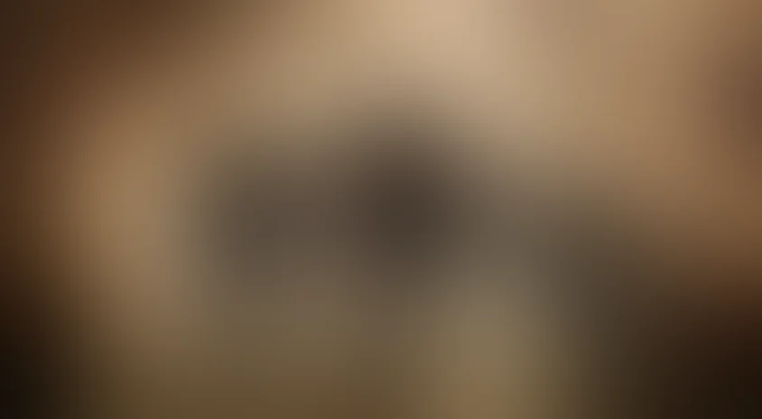 Крылья славы