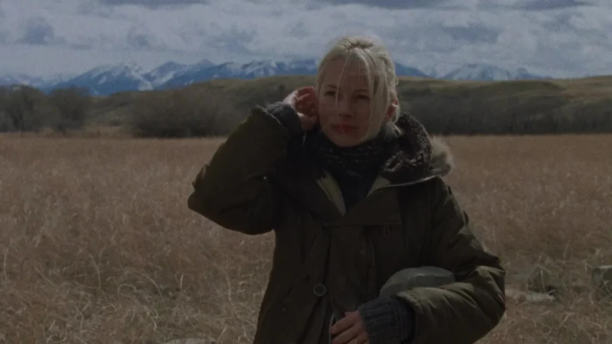 Несколько женщин