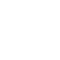 Новая жизнь (2020)
