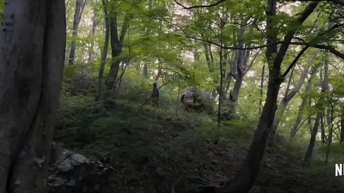 Трейлер (русский язык)