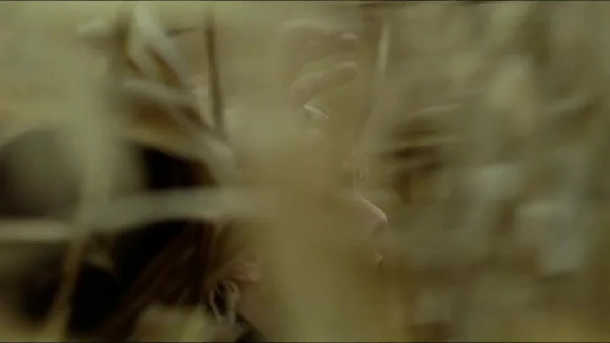 Том на ферме