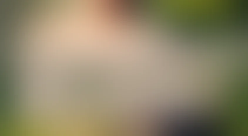 Здравия желаю! или Бешеный дембель