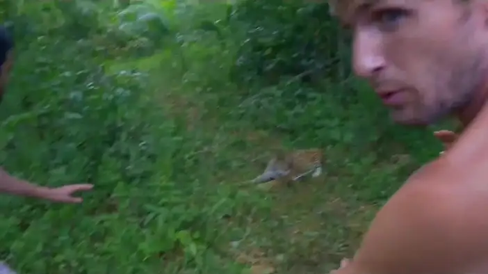 Тизер (французский язык)