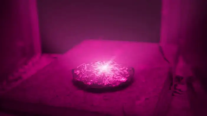 Музыкальный клип