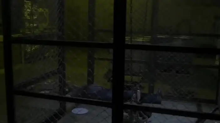 Трейлер (английский язык)