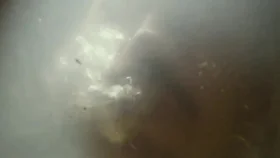 Katta yo'l bosqinchilari