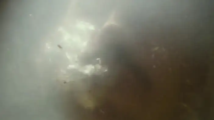 Трейлер (русский язык)