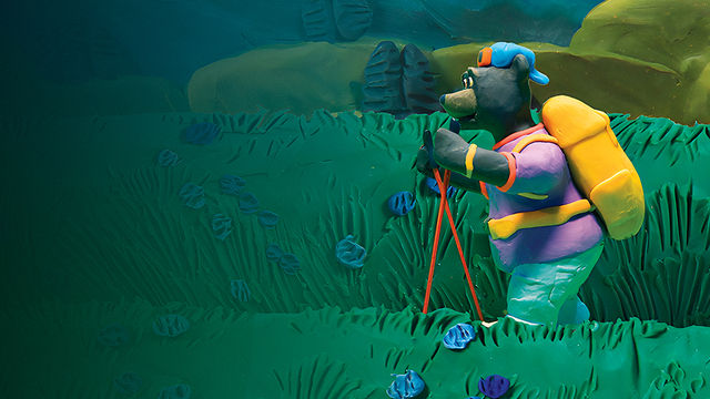 Мульти-Россия