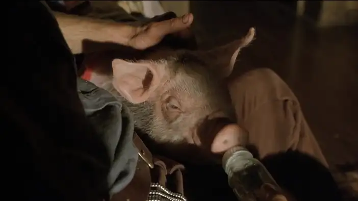 Фрагмент 6 (английский язык)