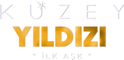 Shimoliy yulduz