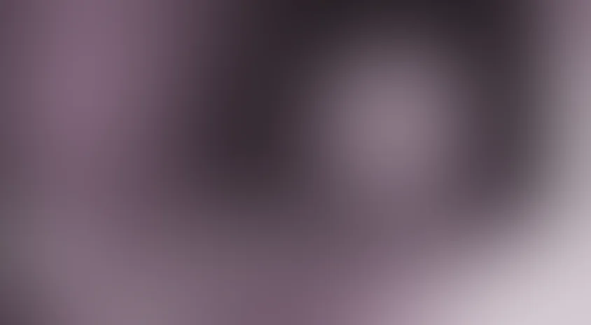 Из жизни марионеток