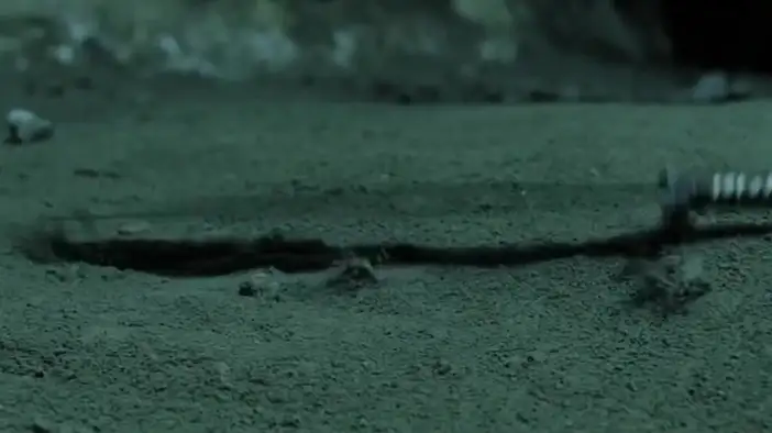 Фрагмент 3 (английский язык)