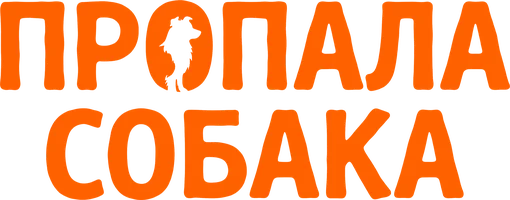 Фильм Пропала собака