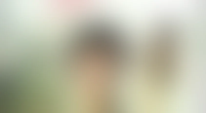 Частная жизнь Пиппы Ли