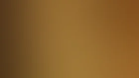 Венецианский купец