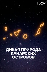 Дикая природа Канарских островов