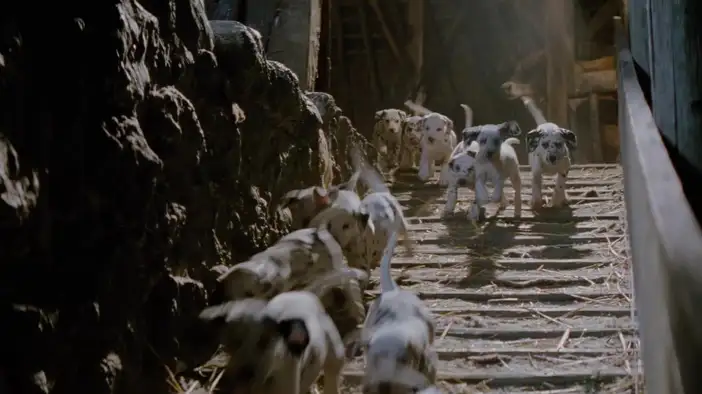 Фрагмент (дублированный)