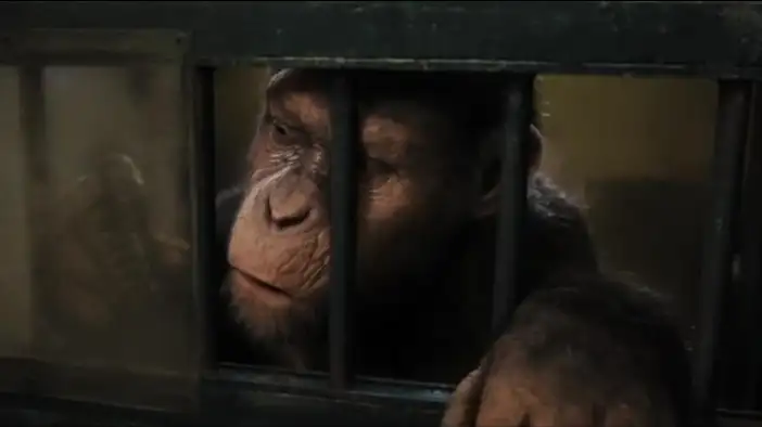 О съемках (английский язык)