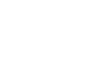 Видео Семин в Италии. Nobel