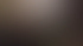 Два товарища