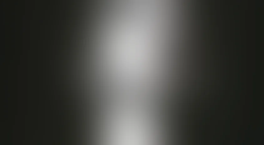 Последний герой: Двадцать лет спустя